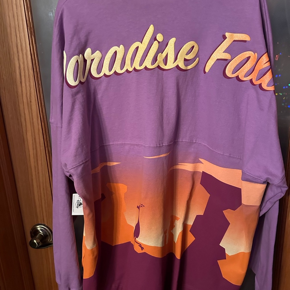 Disney Pixar Up Spirit Jersey XL